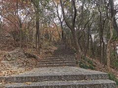 -紫金山山顶公园