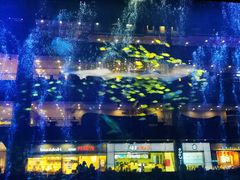 -成都浩海立方海洋公园