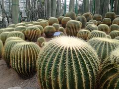 -南山植物园