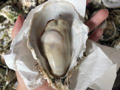 -蠔园山庄(礼乐食街店)