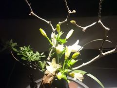 -曲水兰亭(北京四惠店)