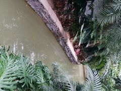 -龙达温泉生态城