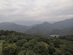 -广州市石门国家森林公园