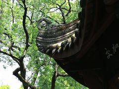 -桂湖森林公园