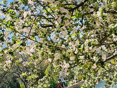 -元大都城垣遗址公园