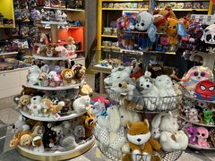 -谢列梅捷沃国际机场