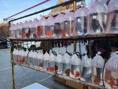 -华声天桥民俗文化园