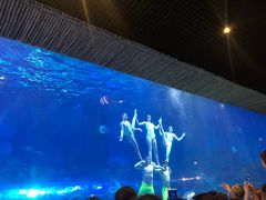 -华夏文旅海洋公园