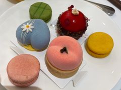 -京彩臻品火锅
