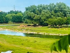 -北京麋鹿生态实验中心