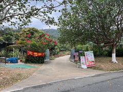 -凤岗南门山森林公园