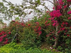 -小南山公园
