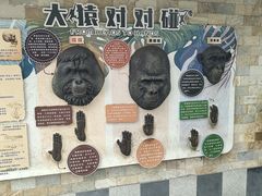-成都动物园