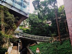-香港大学