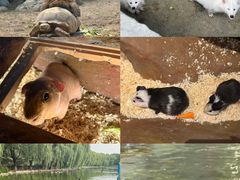 -北京野生动物园