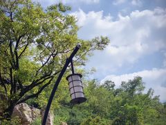 -陶祖圣境风景区