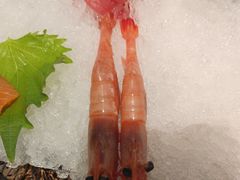 -德川家日本料理(顺义华联店)