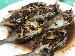 -巫记鸡饭店