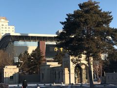 -黑龙江大学