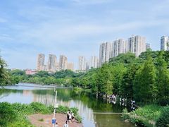 -重庆彩云湖湿地公园