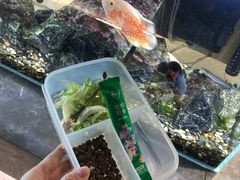 -浣熊柯尔鸭土拨鼠·电玩咖