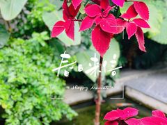 -漫笙舍Manse·咖啡·民宿