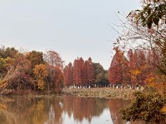 -艾溪湖湿地公园