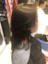 -京世沙龙