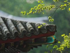 -颐和园