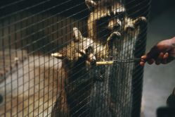 -酷嗒动物文化乐园(cutezoo西溪乐天城店)