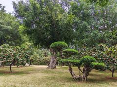 -南宁南湖公园