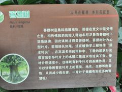 -济南植物园