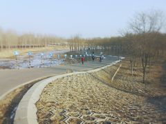 -东郊湿地公园