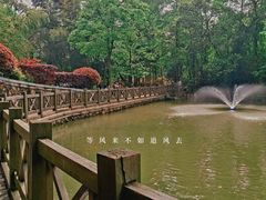 -敬亭山风景名胜区