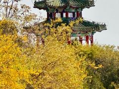 -北京西山国家森林公园