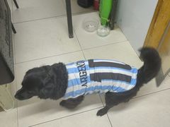 -寶牯佬邵阳米粉