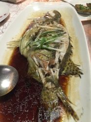 -中茵皇冠假日酒店·宴会厅