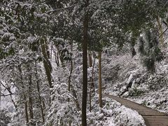 -青城山