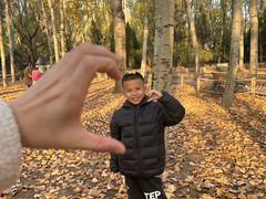 -森林公园(尖草坪区)