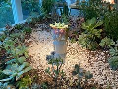 -春树下·树屋花房西餐厅(罍街AS1980店)