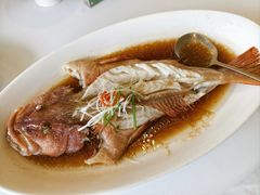 清蒸东星斑-望海湾海鲜楼·海鲜(开发区店)