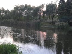 -新江湾城公园
