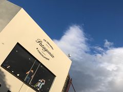 -Patagonia Chocolates(皇后镇店)