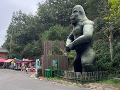 -栾川竹海野生动物园