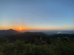 -武陵山森林公园