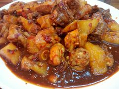 -农夫大盘鸡(经八路总店)