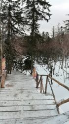 -大秃顶子山