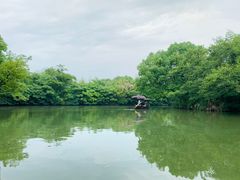 -西溪国家湿地公园