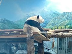 -武汉动物园