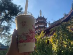 -鸡鸣赐茶(鸡鸣寺路店)